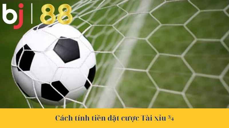 Cách tính tiền đặt cược