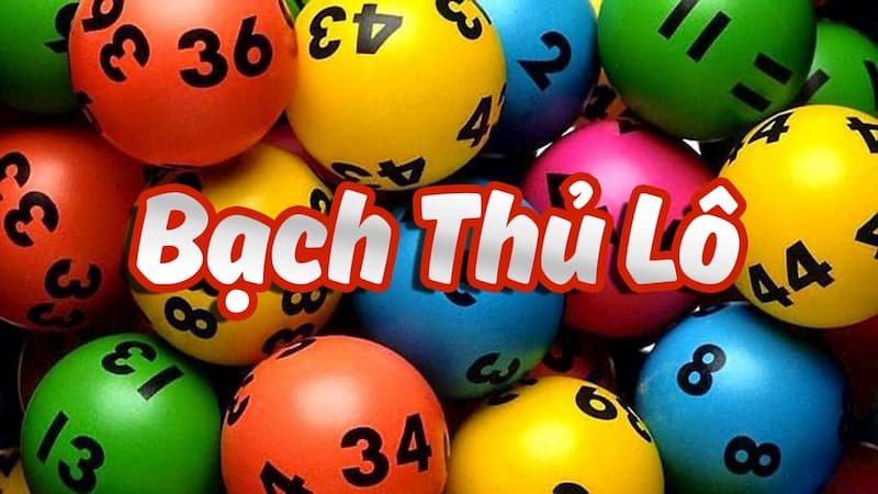 Phương pháp bắt bạch thủ lô siêu chuẩn từ chuyên gia hàng đầu