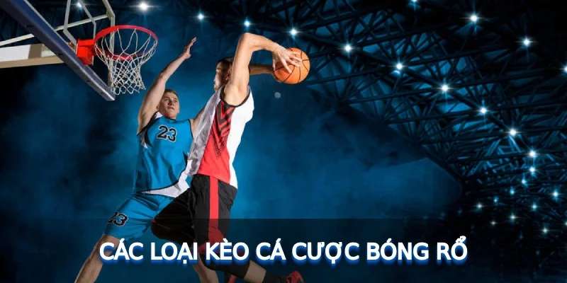 Sự đa dạng của kèo cược trong cá cược bóng rổ