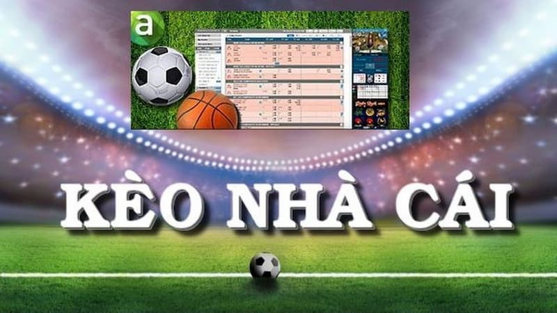 Các loại tỷ lệ kèo nhà cái